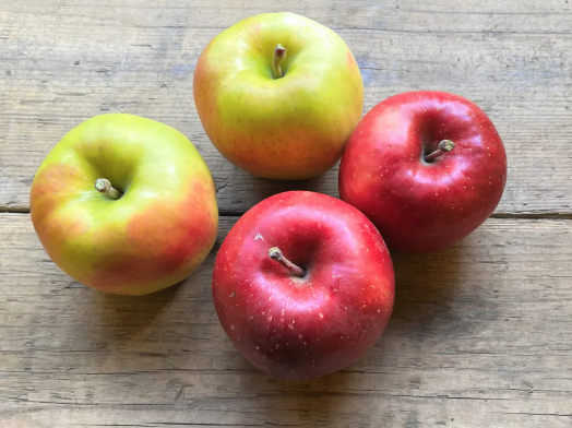 吉川果樹園のりんご1